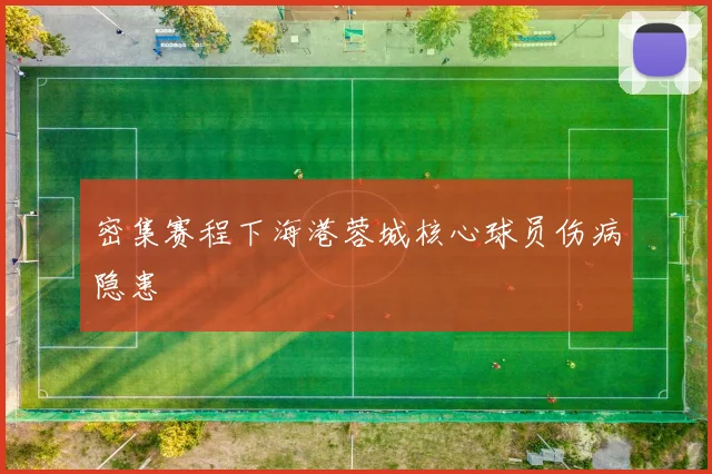 密集赛程下海港蓉城核心球员伤病隐患