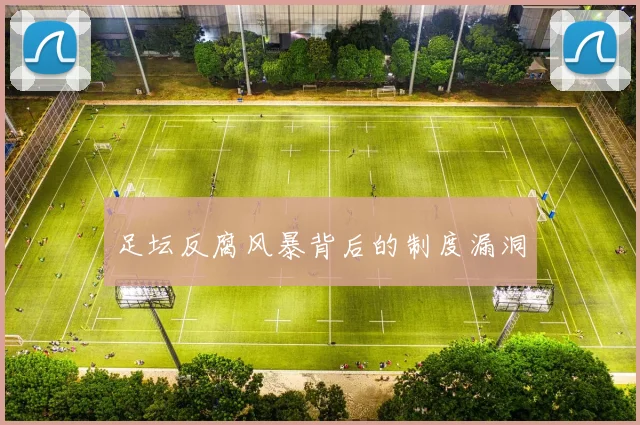 足坛反腐风暴背后的制度漏洞
