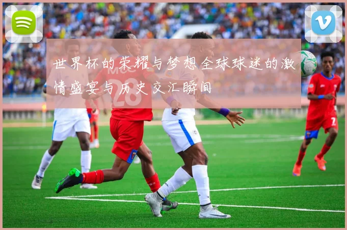 世界杯的荣耀与梦想全球球迷的激情盛宴与历史交汇瞬间