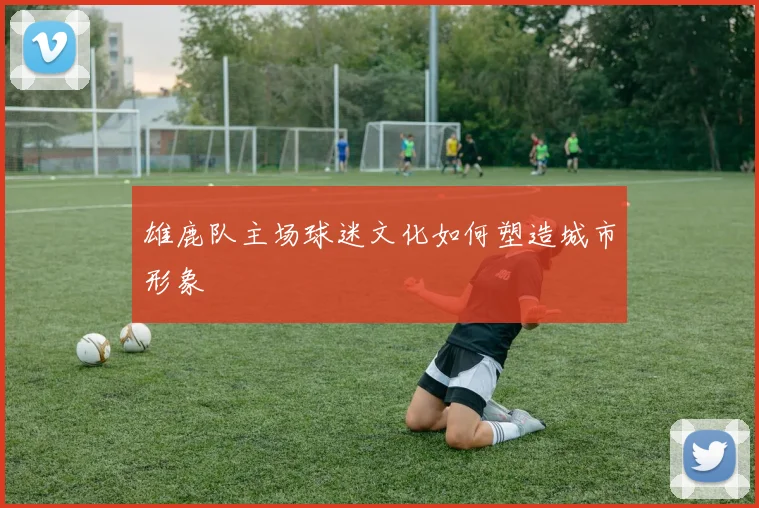 雄鹿队主场球迷文化如何塑造城市形象
