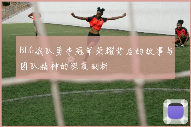 BLG战队勇夺冠军荣耀背后的故事与团队精神的深度剖析